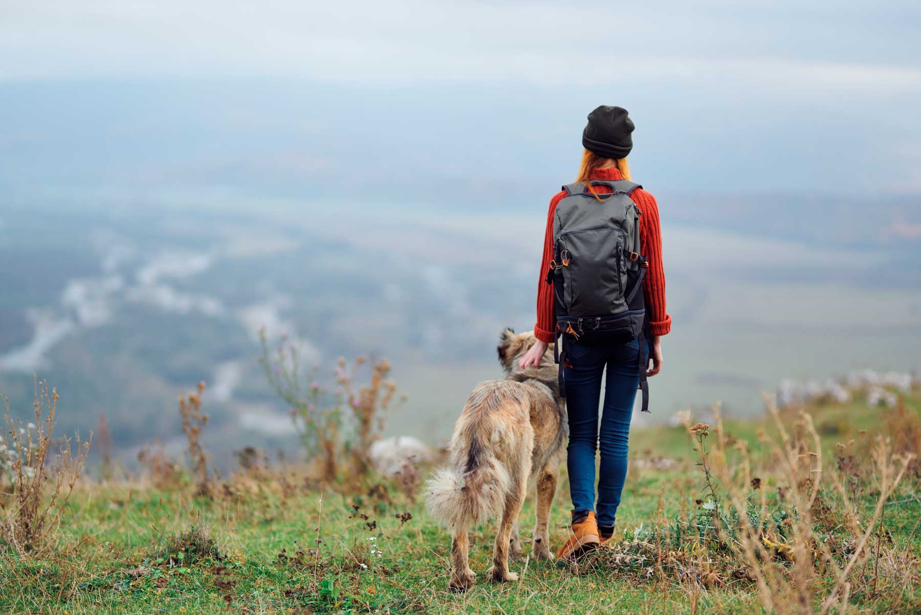 Dog off leash standing next to owner looking out over a mountain range