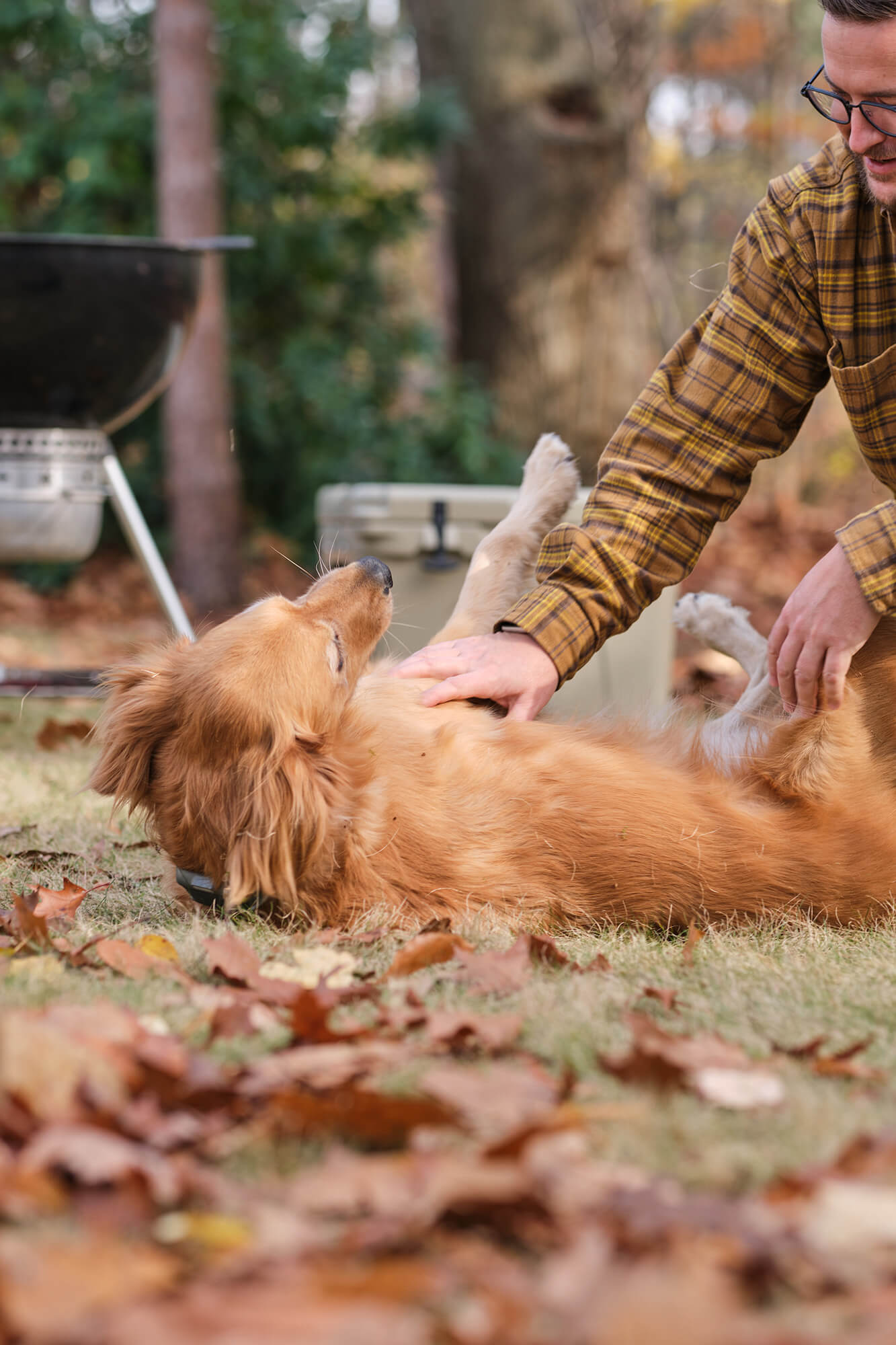 Man petting golden retriever in his backyard with a grill and a cooler on the lawn in the background