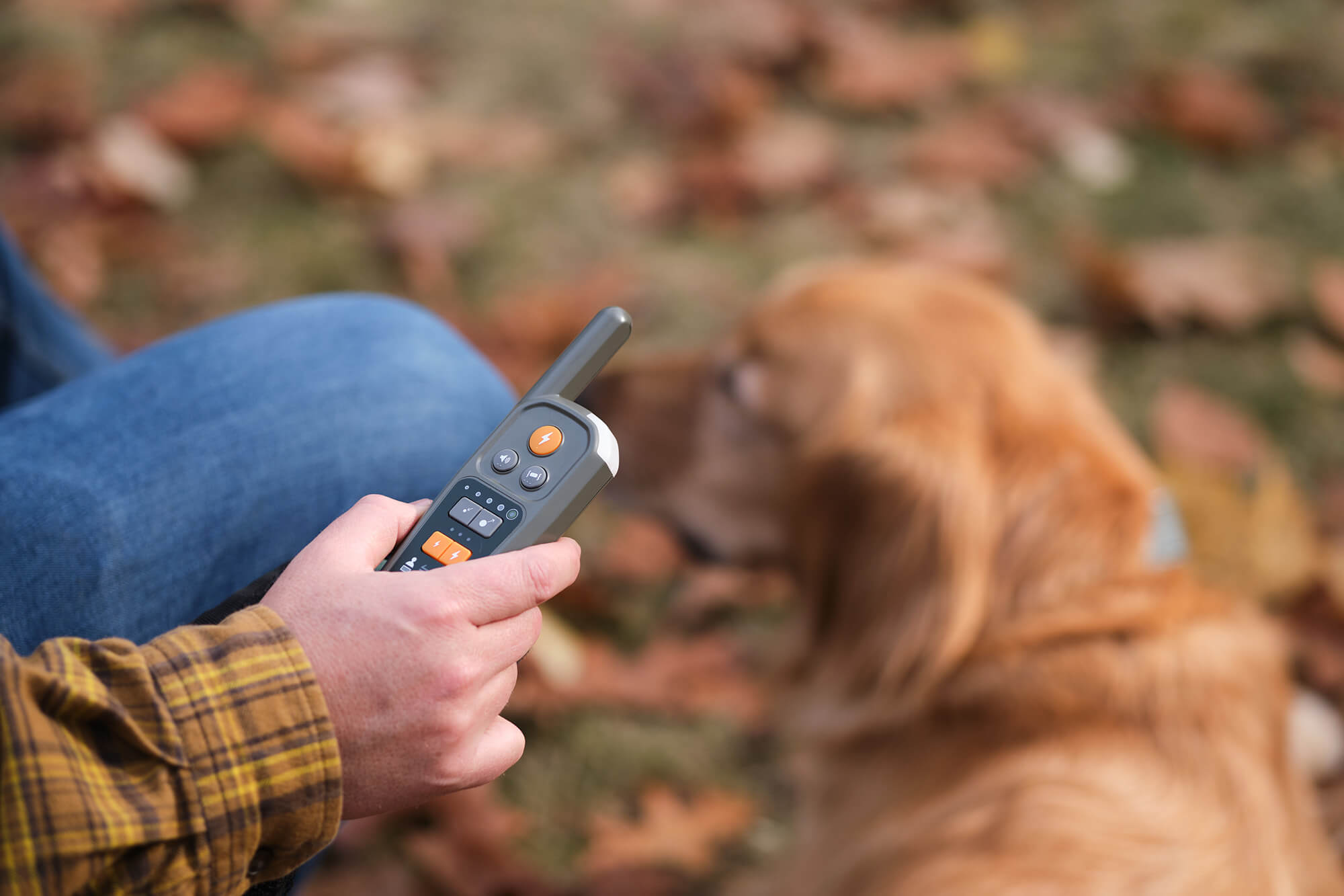 Hand holding a Heel™ Roam 350™ Remote with a Golden Retriever in the background