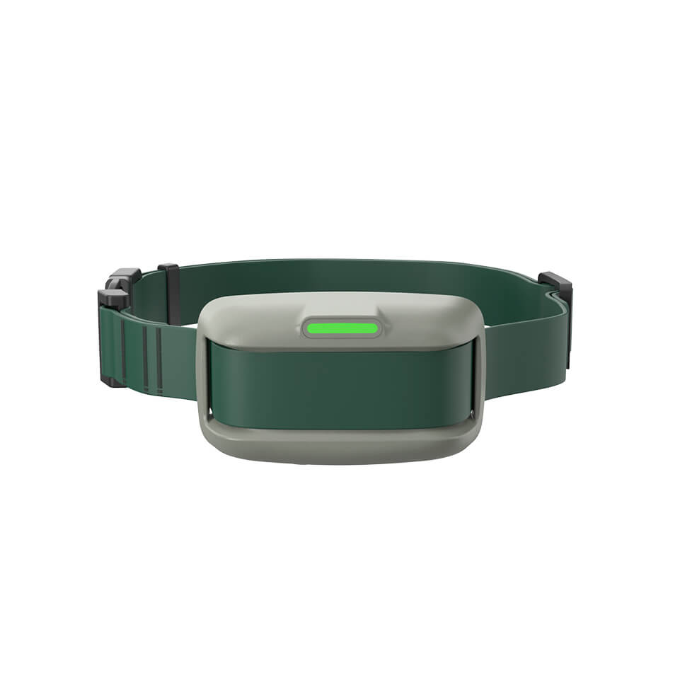 Heel™ ROAM 350™ Collar on a white background
