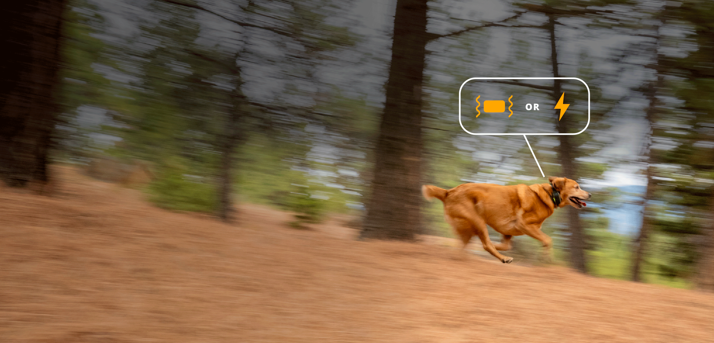Dog running through forest with graphic representation of vibration or static correction on Roam 350™ Collar