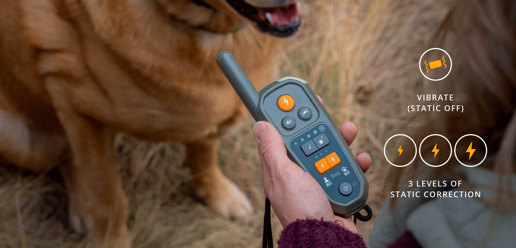 Roam 350™ remote in front of dog with graphic representation of correction options