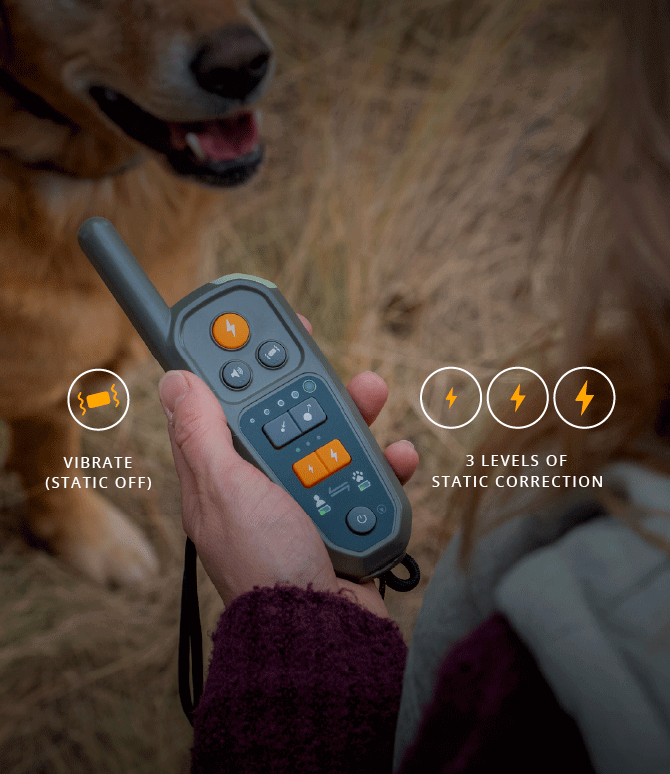 Roam 350™ remote being held in front of off leash dog showing graphic representation of the Roam 350™ correction options