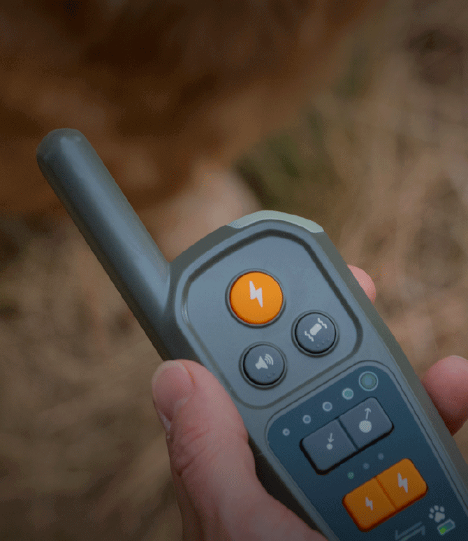 Roam 350™ remote close up showing manual training control options
