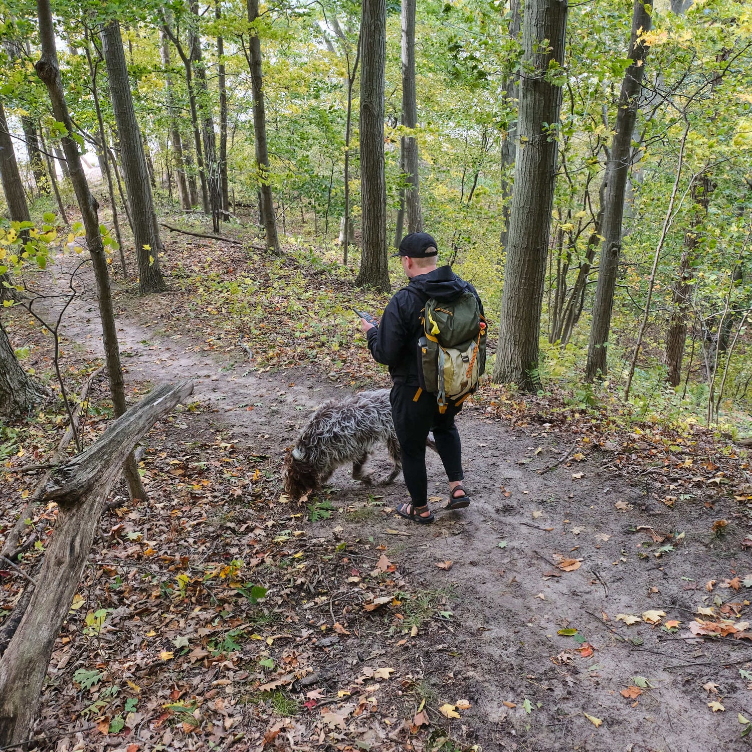 Person hiking with a dog on a trail in a forest