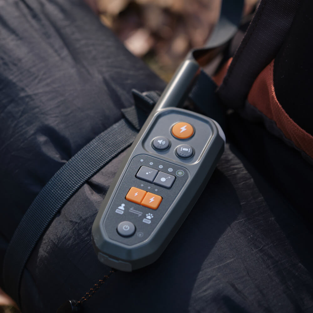 Heel™ ROAM 350™ Remote resting on a hiking pack
