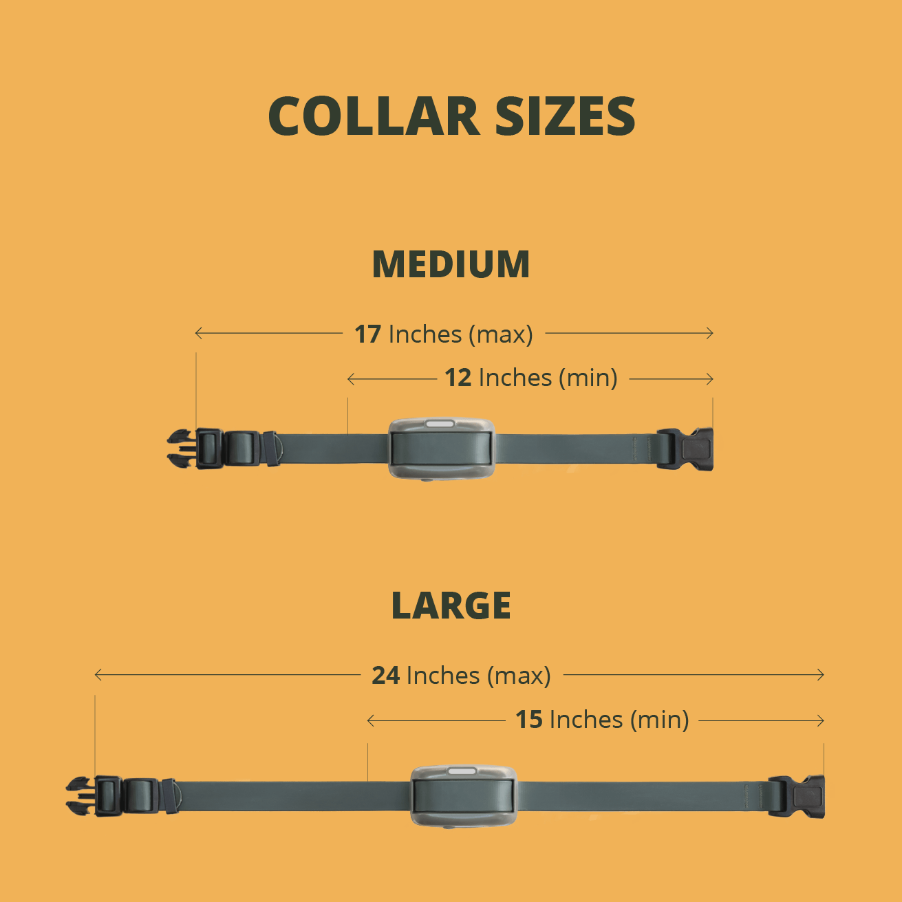 Collar Sizes displaying a medium collar with a max length of 17 inches around, and a minimum length of 12 inches around, and a large collar with a max length of 24 inches around and a minimum length of 15 inches around.