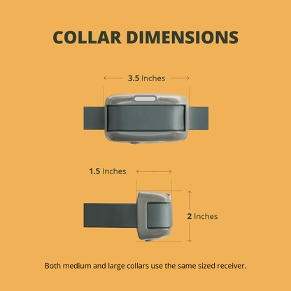 Heel™ Roam 350 Collar Dimensions of 3.5 inches wide by 1.5 inches thick, by 2 inches tall.