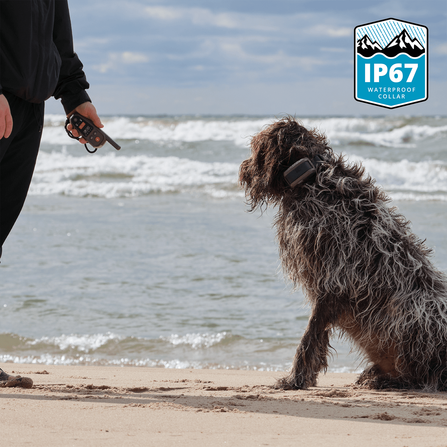 Dog wearing a Roam 350 Waterproof Collar on a beach with a person holding a Roam 350 remote, featuring IP67 waterproof certification logo.