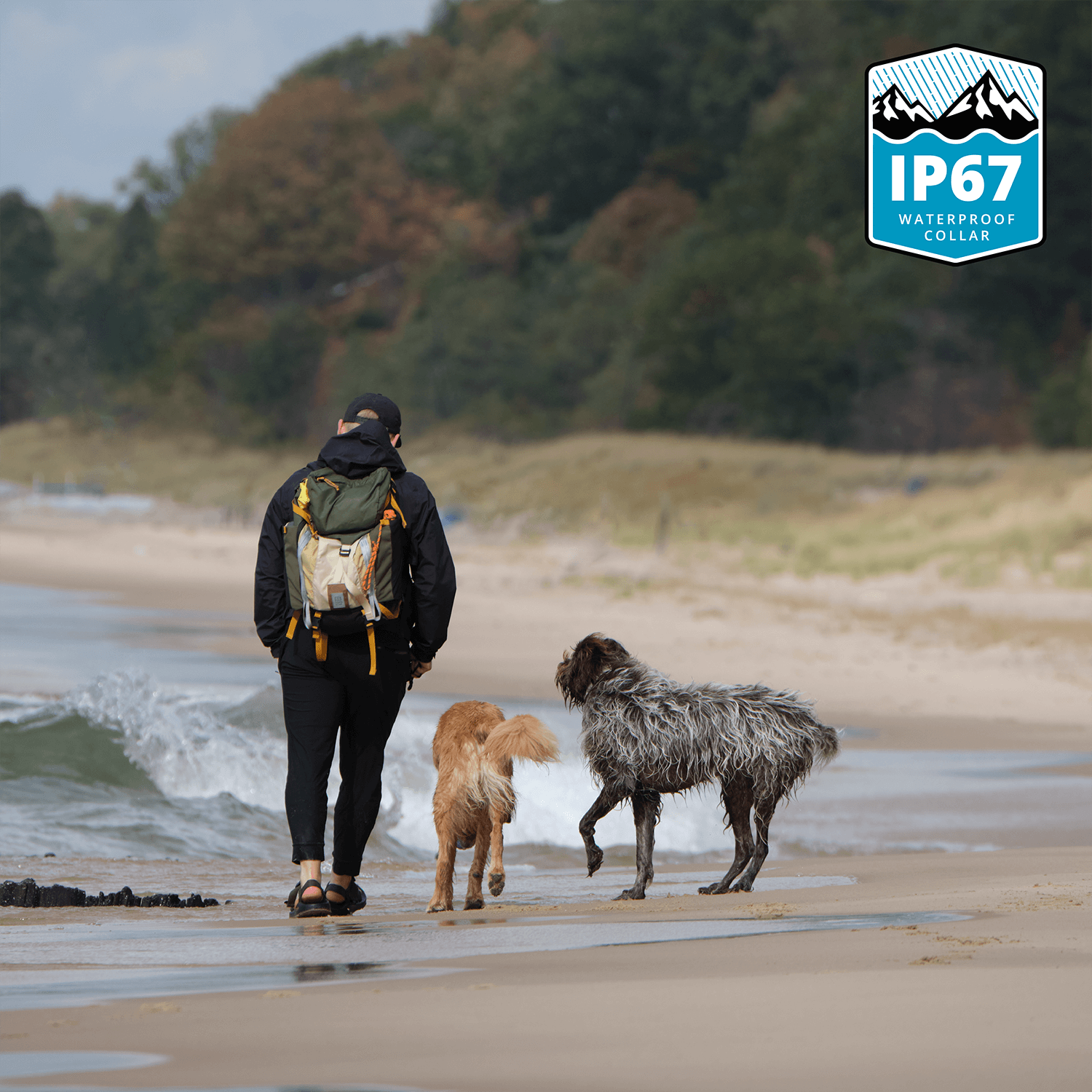 Person walking on a beach with two dogs, featuring an IP67 waterproof rating logo.