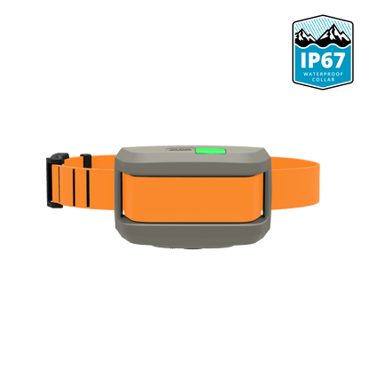 Blaze orange Roam 350 Waterproof Collar with IP67 waterproof certification logo.