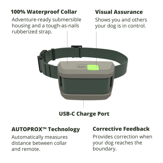 Roam 350 Waterproof Dog collar with USB-C charge port and corrective feedback feature on a black background