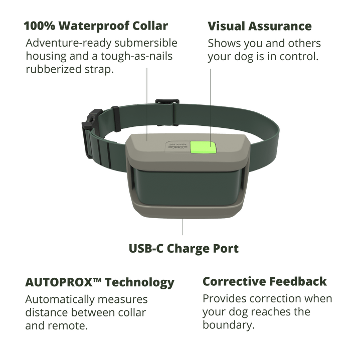 Waterproof collar receiver features and charging port
