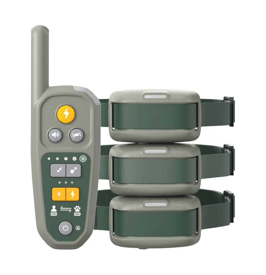 Heel™ Roam 350™ Remote with 3 Collars