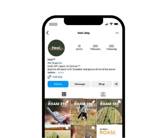 Graphic of a mobile phone showing Heel's instagram account page