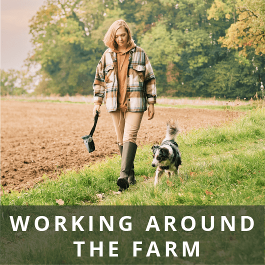 A woman walking next to farmland with her dog.