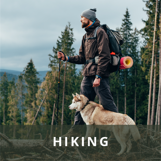 A man wearing a hiking backpack and holding a trekking pole walking along side a Siberian Husky with pine trees and mountains in the background