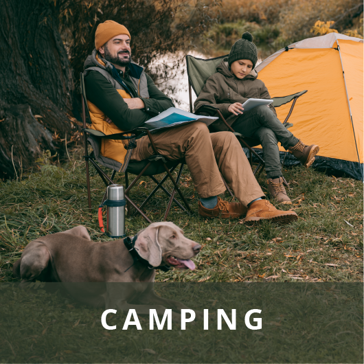 A man and young boy sitting in camping chairs reading next to a tent outdoors with a dog lying down next to them.