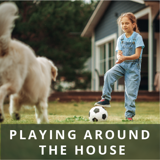 young girl and dog playing around the house with a soccer ball 