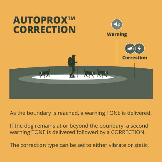 Graphic illustration of autoprox mode warning and correction zones shown with 3 dogs, explaining that when the boundary is reached a tone is delivered, when a dog is beyond the boundary, a second tone and then a correction (vibration or static) is delivered.