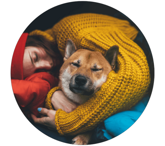 Woman and dog sleeping on a sleeping bag