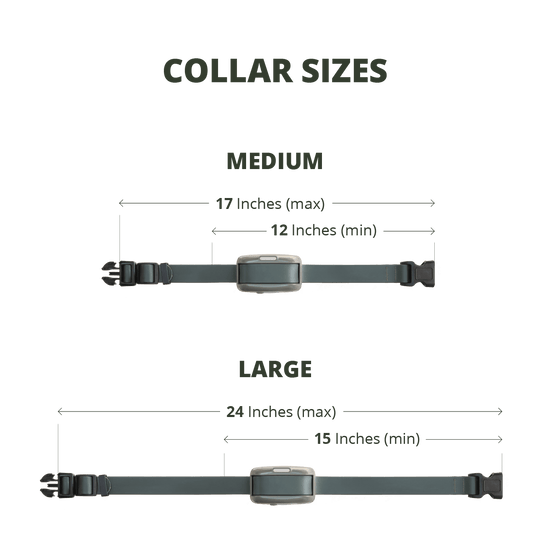 Collar Sizes displaying a medium collar with a max length of 17 inches around, and a minimum length of 12 inches around, and a large collar with a max length of 24 inches around and a minimum length of 15 inches around.