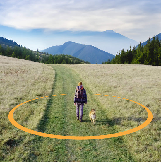 Person with hiking backpack walking into mountain range with dog next to them and a radial boundary drawn around them