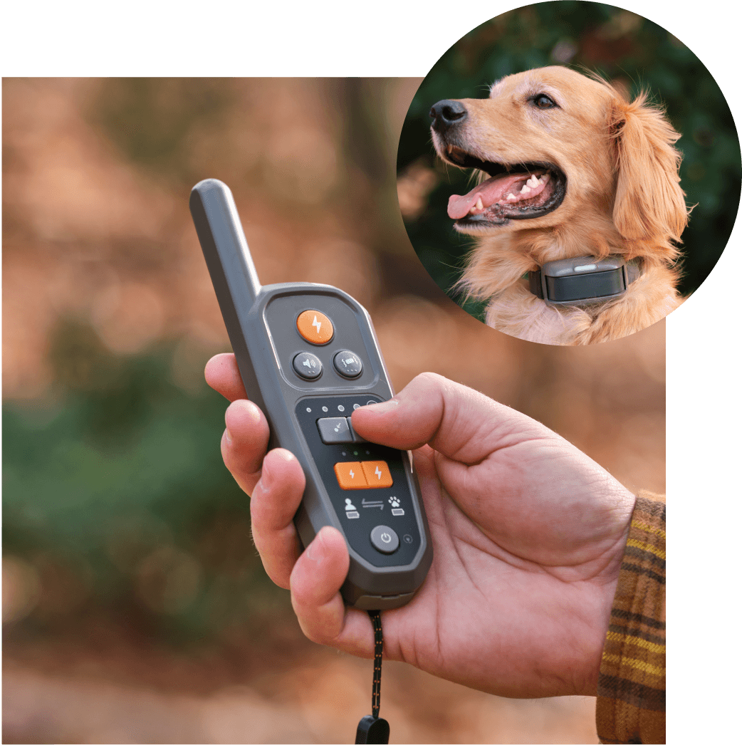 Hand increasing the length of the Heel™ Virtual Dog Leash, and a Golden Retriever wearing the Heel™ Roam 350 collar.