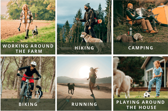 Six images grouped together showing a woman walking with her dog near a farm, a man and a dog hiking, a man and a boy camping with their dog, a woman mountain biking with her dog, a woman running with her dog, and a girl kicking a soccer ball with her dog.