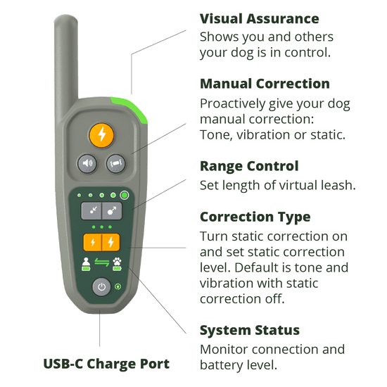 Heel Roam 350™ remote with lines connecting remote features, including Visual Assurance, Manual Correction, Range Control, Corection Type, System Status, and USB-C Charge Port.