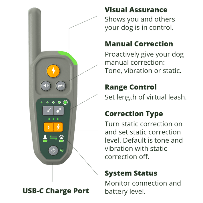 Handheld remote controls and indicators